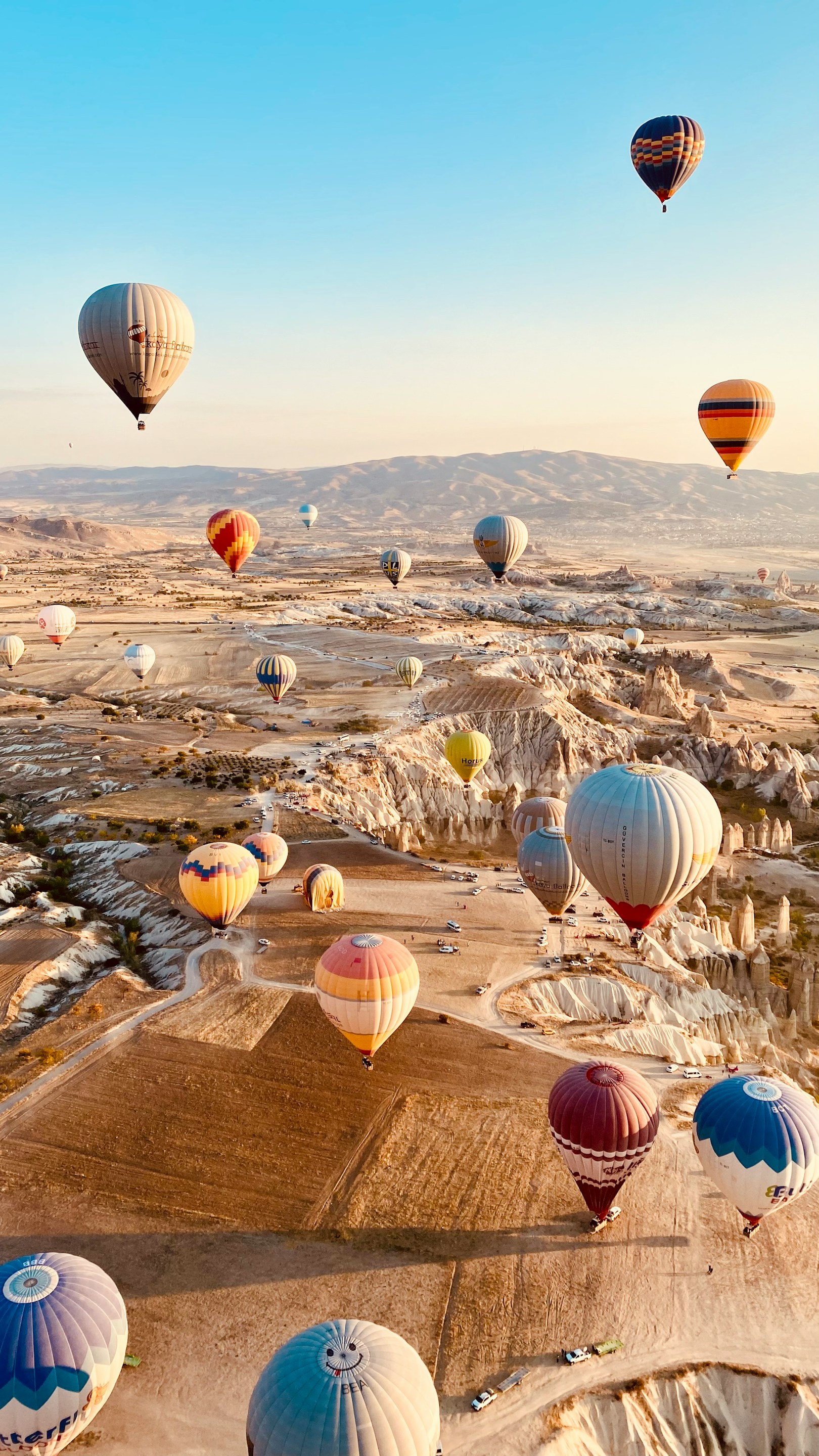 Hot air balloons landscape