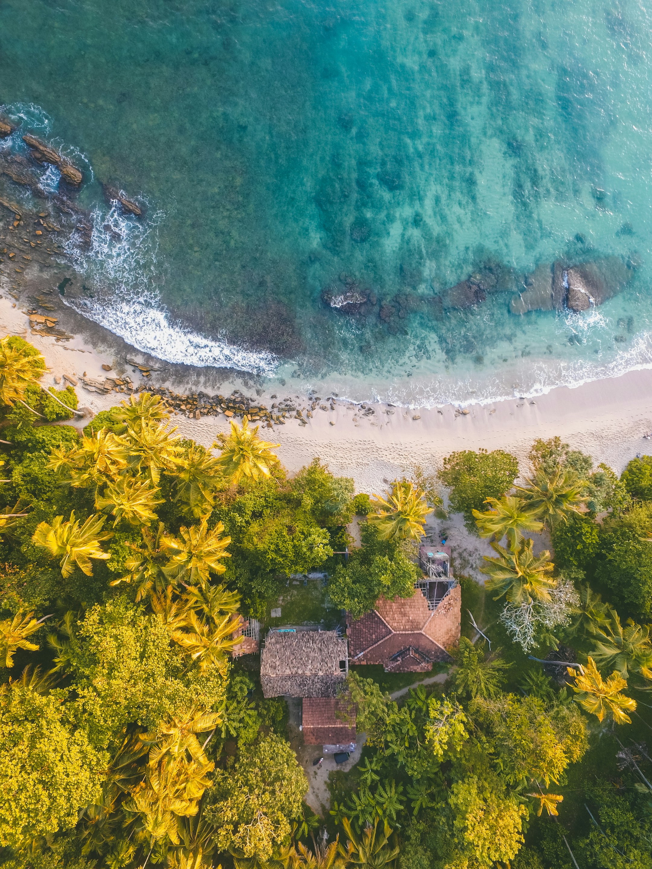 Tropical beach landscape