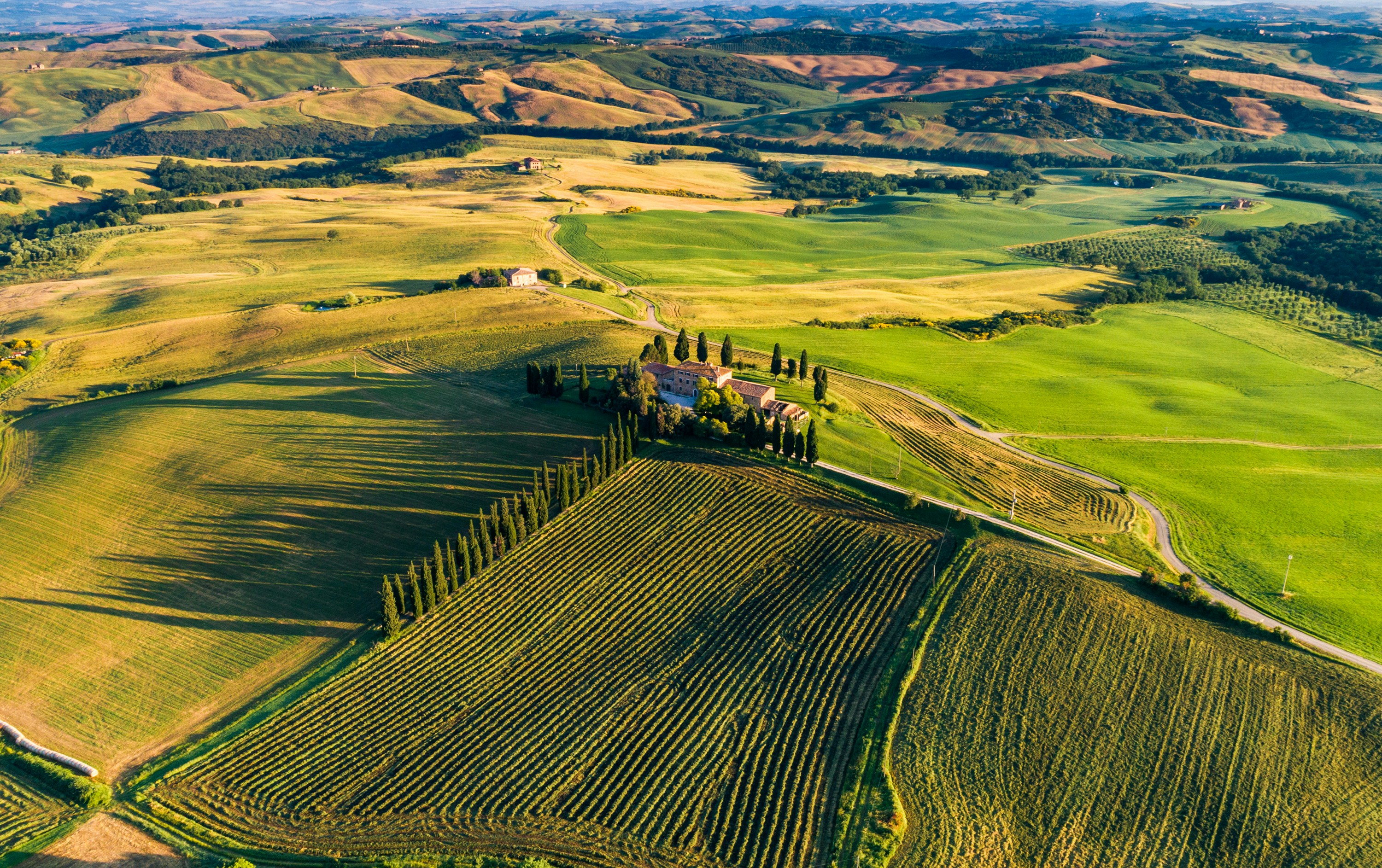 Rome, Orvieto & Florence: Villas, Vines & Flavors